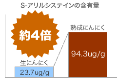 S-アリルシステイン含有量が4倍