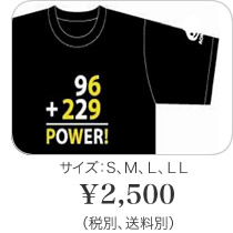 2,500円（サイズS,M,L,LL）税込、送料別